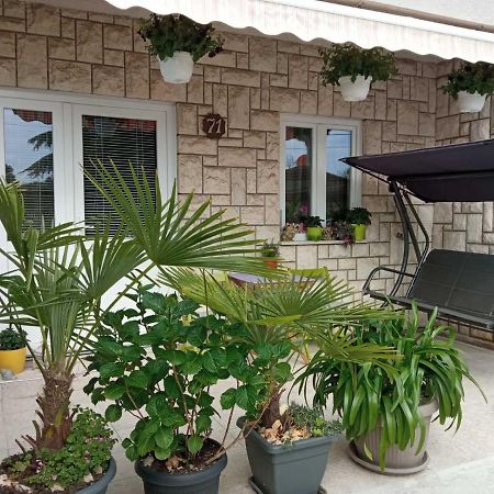 Sunce Apartment กอสเตรนา ภายนอก รูปภาพ